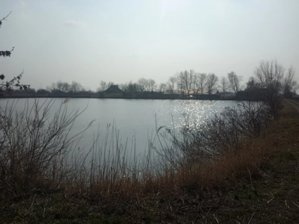 Eladó Telek Tiszasüly 645000 m2 