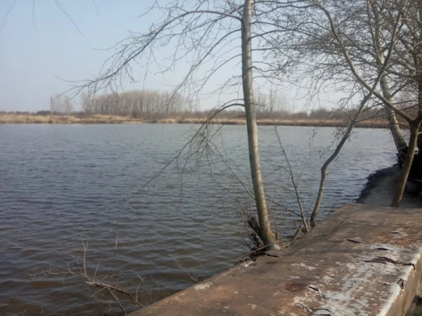 Eladó Telek Tiszasüly 645000 m2 