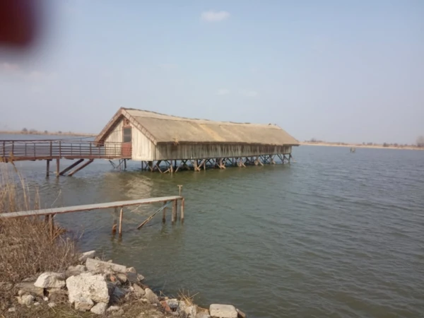 Eladó Telek Tiszasüly 645000 m2 