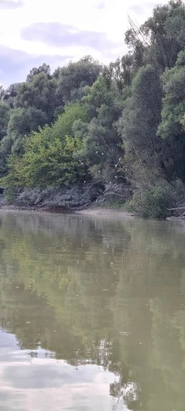 Eladó Telek Érsekcsanád 1149 m2 