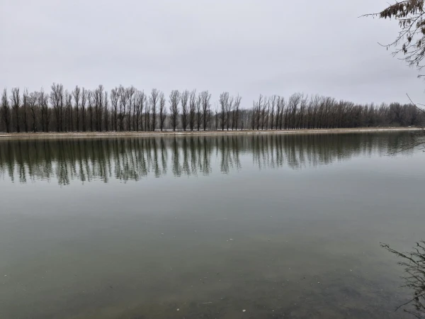 Eladó Telek Érsekcsanád 1149 m2 
