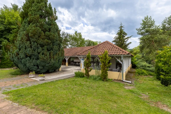 Eladó Ház Misefa 1650 m2 