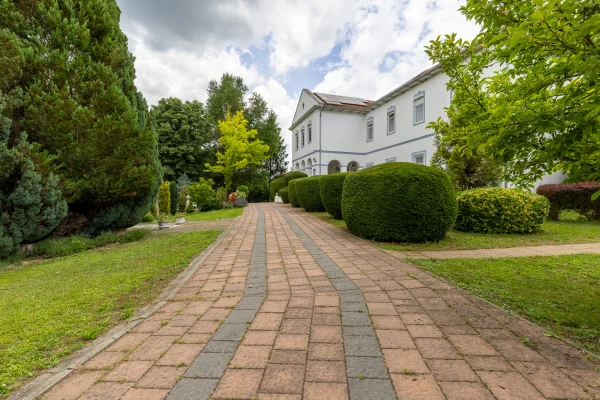 Eladó Ház Misefa 1650 m2 