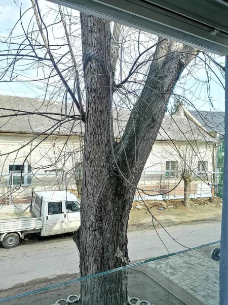 Eladó Lakás Nyíregyháza 58 m2 