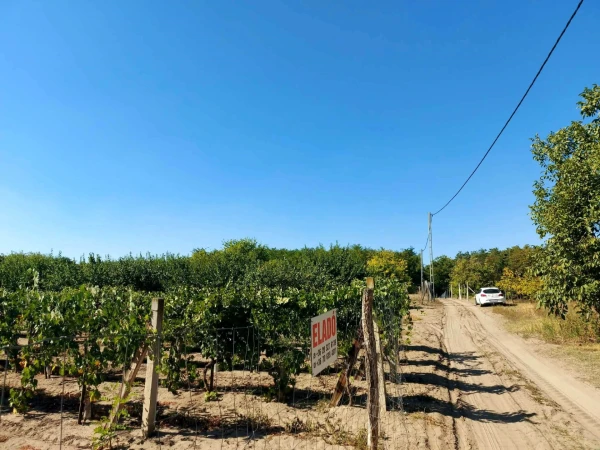 Eladó Telek Dunaföldvár 7162 m2 