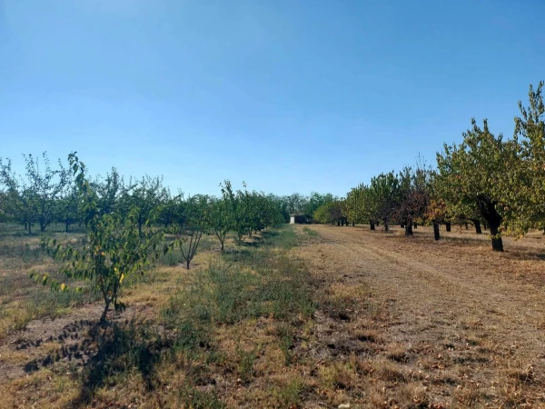 Eladó Telek Dunaföldvár 7162 m2 