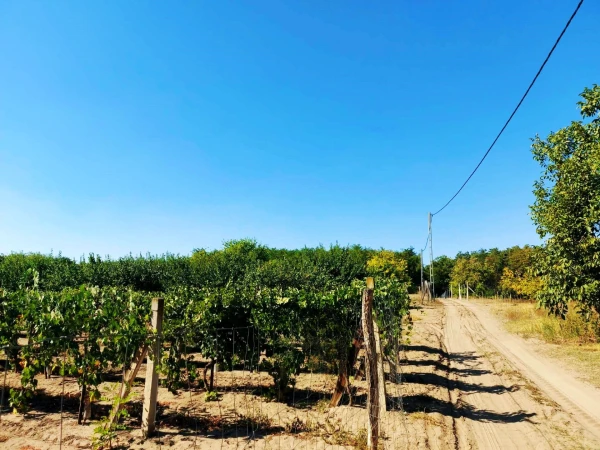 Eladó Telek Dunaföldvár 7162 m2 
