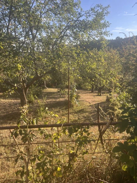 Eladó Telek Somoskőújfalu 930 m2 