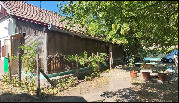 Eladó Telek Kocsér 224186 m2 