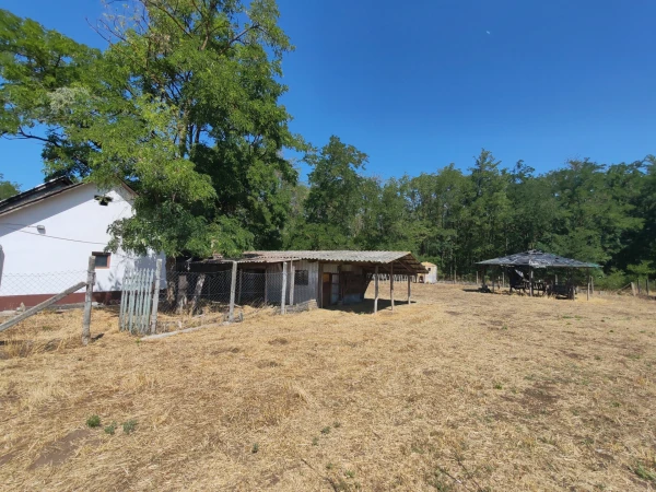 Eladó Telek Kocsér 224186 m2 