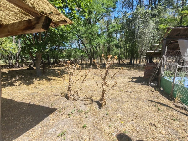 Eladó Telek Kocsér 224186 m2 