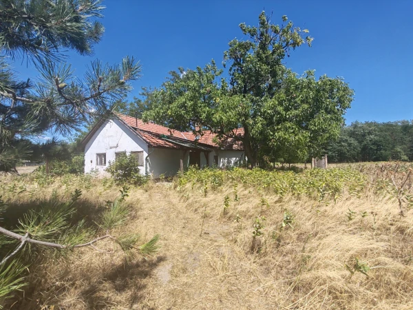 Eladó Telek Kocsér 224186 m2 