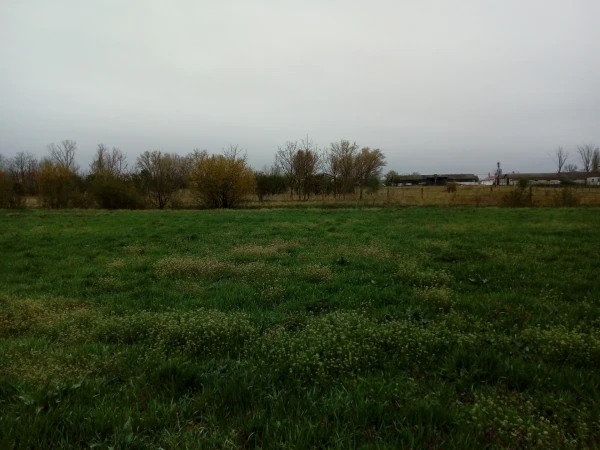 Eladó Telek Szolnok 3816 m2 
