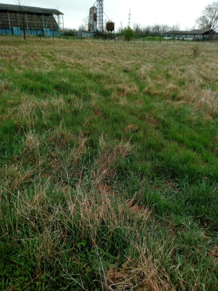 Eladó Telek Szolnok 3816 m2 
