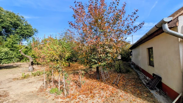 Eladó Ház Kecskemét 27 m2 