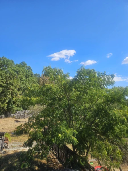 Eladó Ház Nagyoroszi 160 m2 