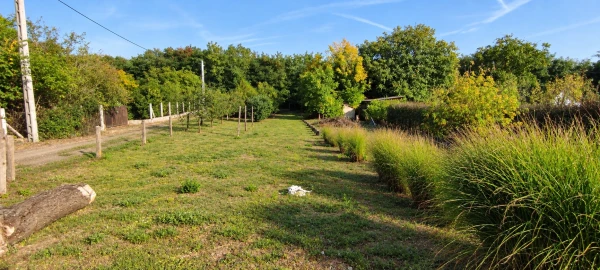 Eladó Ház Nyíregyháza 35 m2 