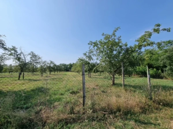 Eladó Telek Gyula 15900 m2 