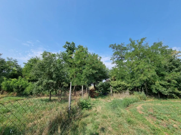 Eladó Telek Gyula 15900 m2 