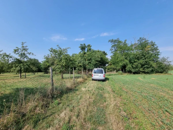 Eladó Telek Gyula 15900 m2 