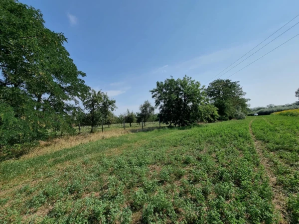 Eladó Telek Gyula 15900 m2 