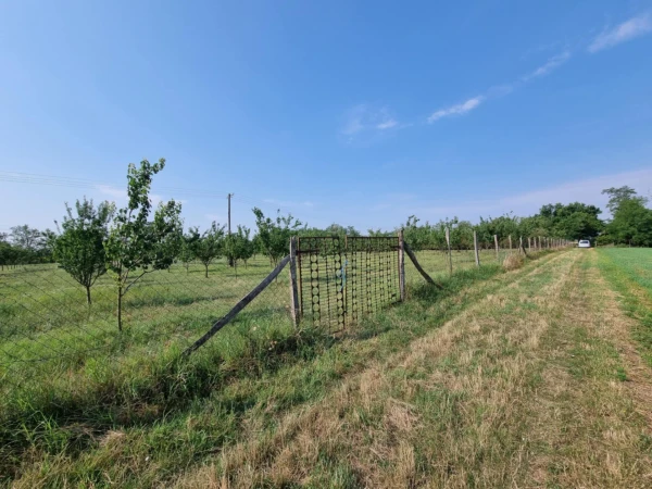 Eladó Telek Gyula 15900 m2 