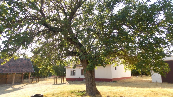 Eladó Ház Jakabszállás 55 m2 