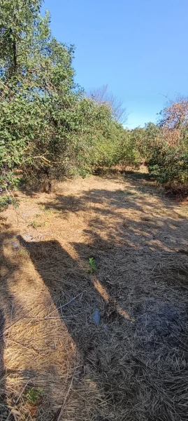 Eladó Ház Ceglédbercel 140 m2 