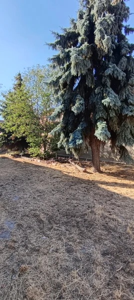 Eladó Ház Ceglédbercel 140 m2 