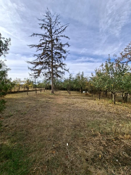 Eladó Ház Kálló 88 m2 