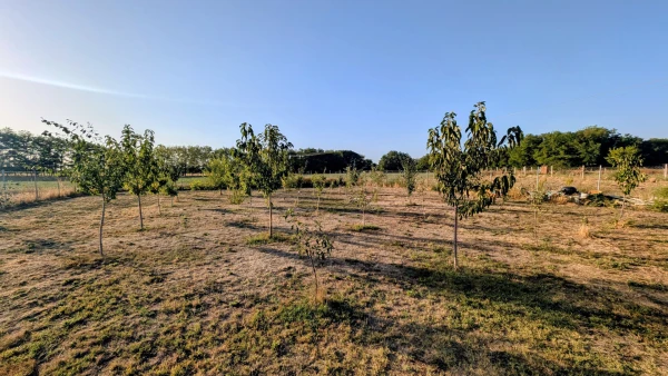 Eladó Ház Kecskemét 86 m2 