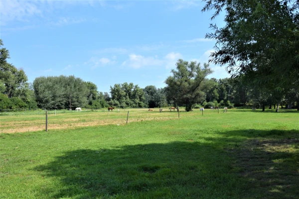 Eladó Telek Győr 94226 m2 