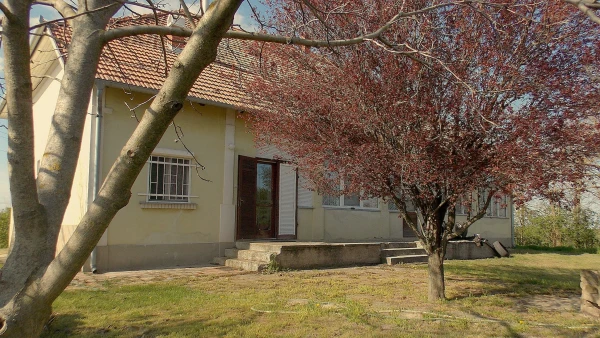 Eladó Ház Kiskunfélegyháza 196 m2 