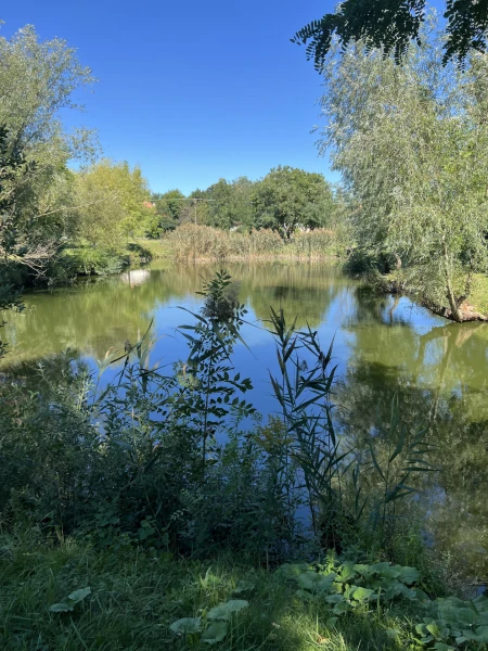Eladó Telek Csér 15042 m2 