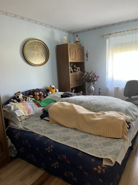 Eladó Telek Csér 15042 m2 