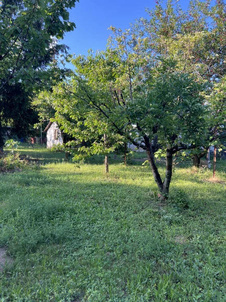Eladó Telek Szombathely 608 m2 