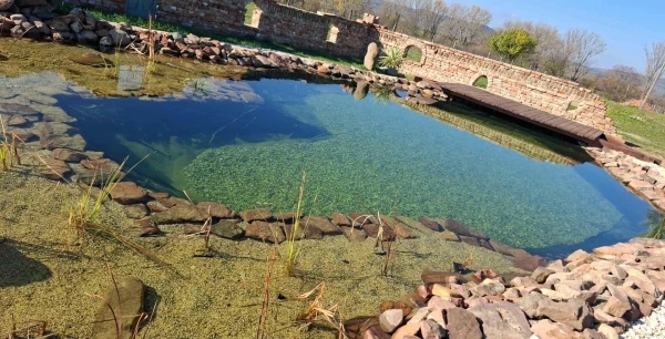 Eladó Telek Kővágóörs 7357 m2 
