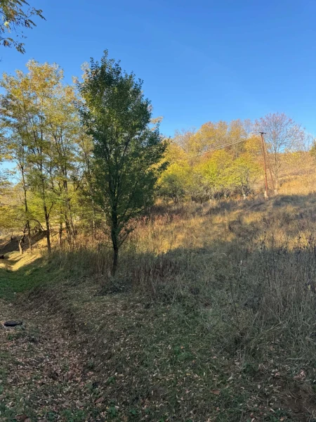 Eladó Telek Somoskőújfalu 3230 m2 