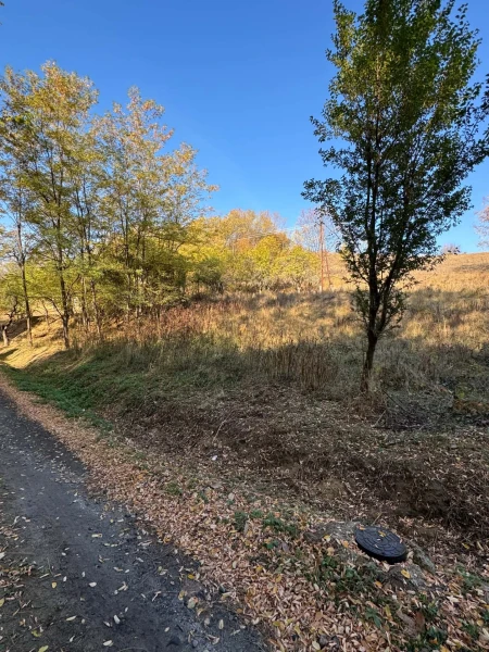 Eladó Telek Somoskőújfalu 3230 m2 