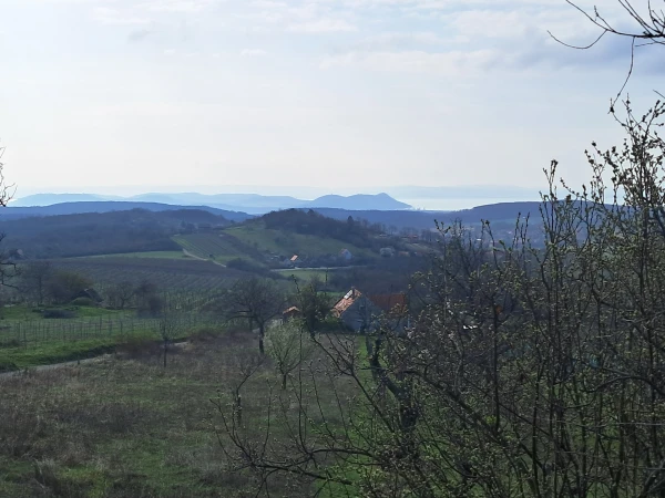 Eladó Nyaraló Balatonszőlős 75 m2 