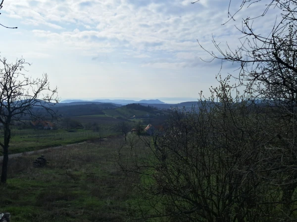 Eladó Nyaraló Balatonszőlős 75 m2 