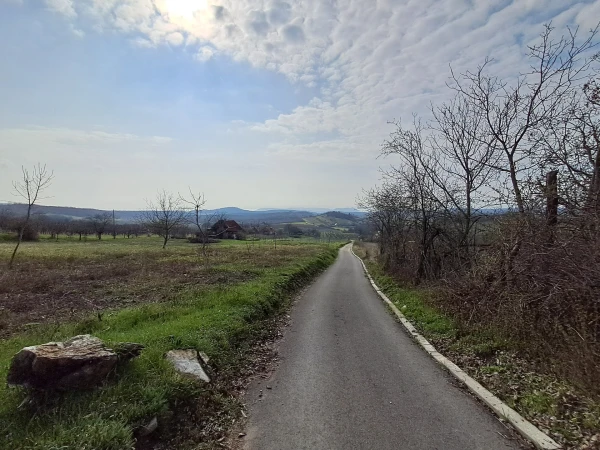 Eladó Nyaraló Balatonszőlős 75 m2 
