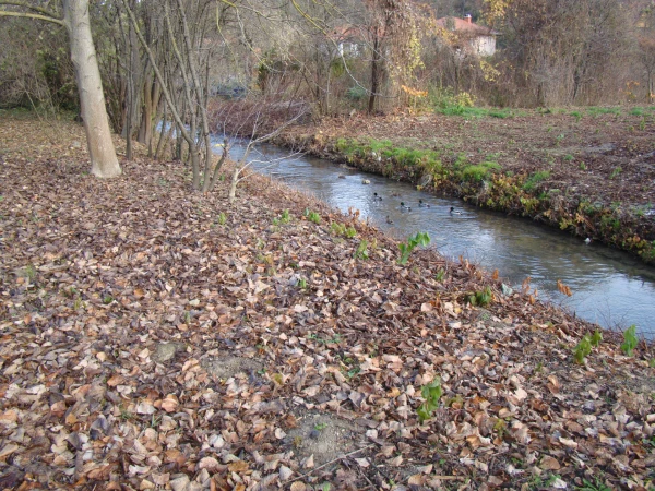 Eladó Telek Veszprém 947 m2 