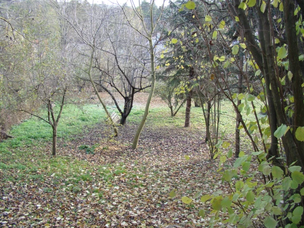 Eladó Telek Veszprém 947 m2 