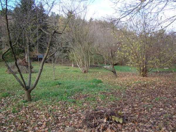 Eladó Telek Veszprém 947 m2 