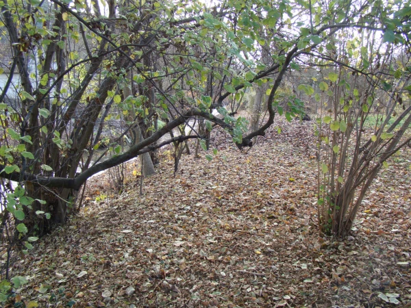 Eladó Telek Veszprém 947 m2 