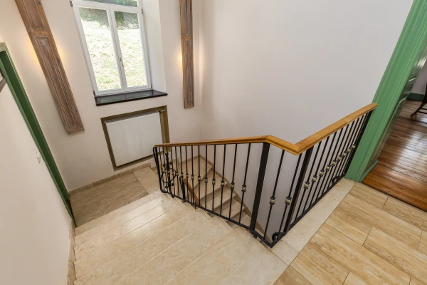 Eladó Ház Legénd 510 m2 