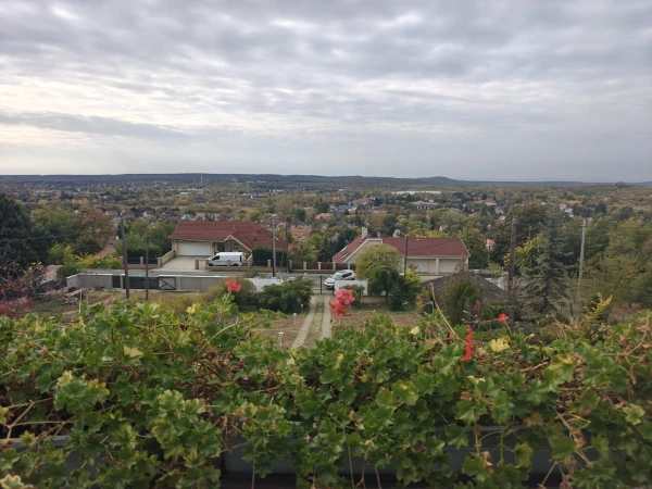 Eladó Ház Gödöllő 240 m2 