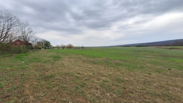 Eladó Telek Gödöllő 7532 m2 