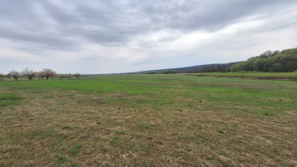 Eladó Telek Gödöllő 7532 m2 